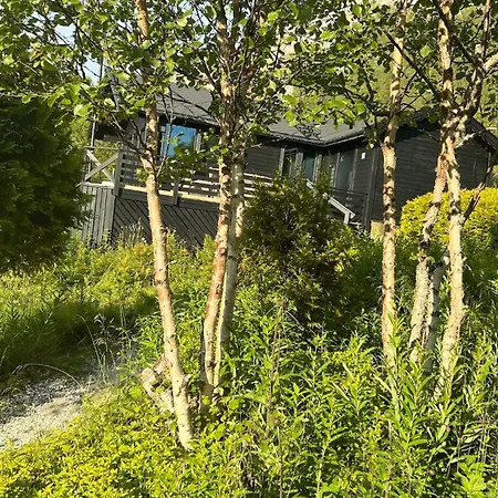 High Standard And Beautiful View Vakantiehuis Tennevik